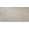 Quartz bone